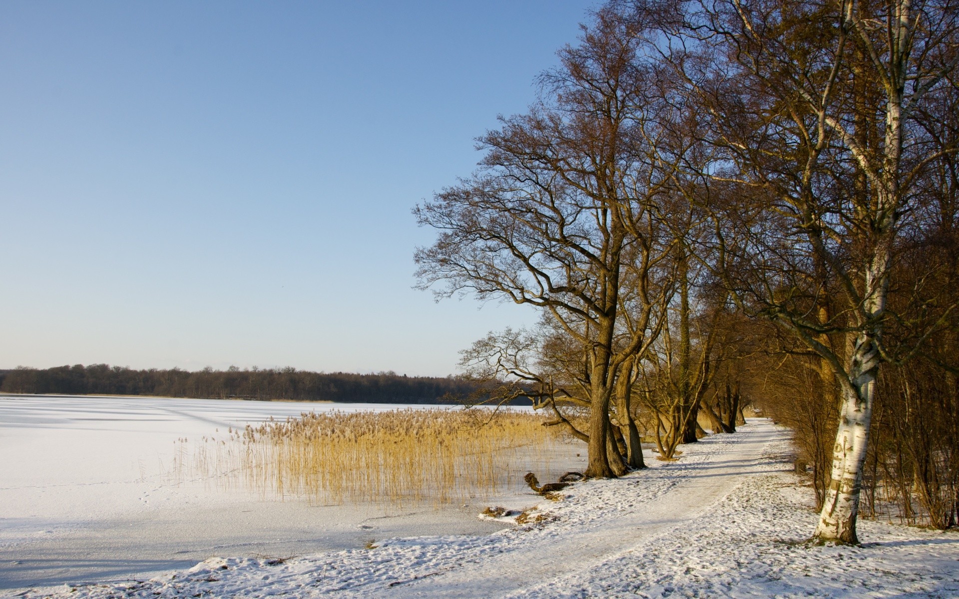 europa inverno albero paesaggio natura neve legno autunno all aperto freddo rurale gelo campagna tempo stagione bel tempo acqua ghiaccio alba parco