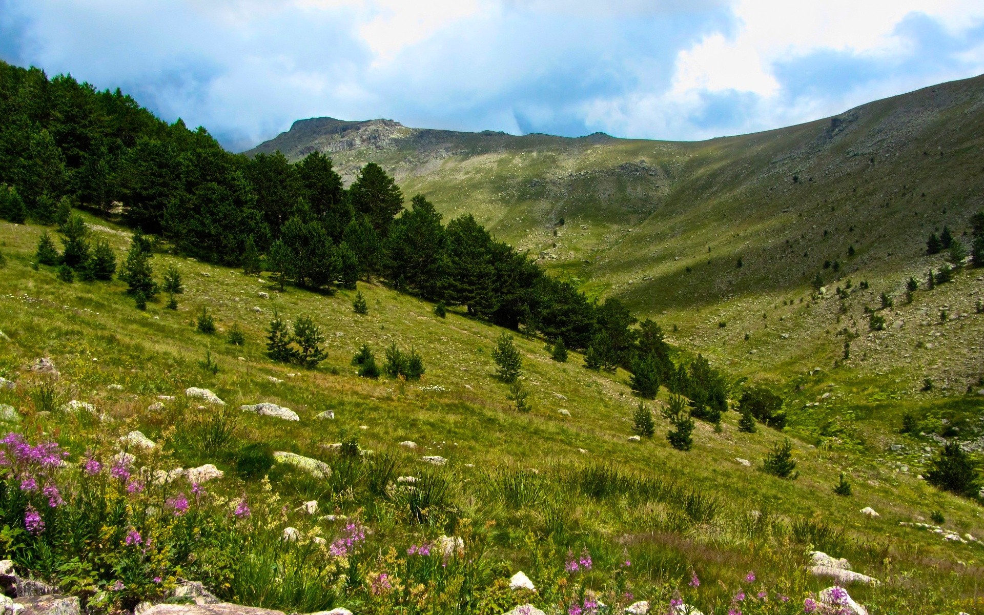 europe landscape nature mountain outdoors travel summer grass hill sky hayfield scenic valley sight countryside tree grassland daylight flower environment