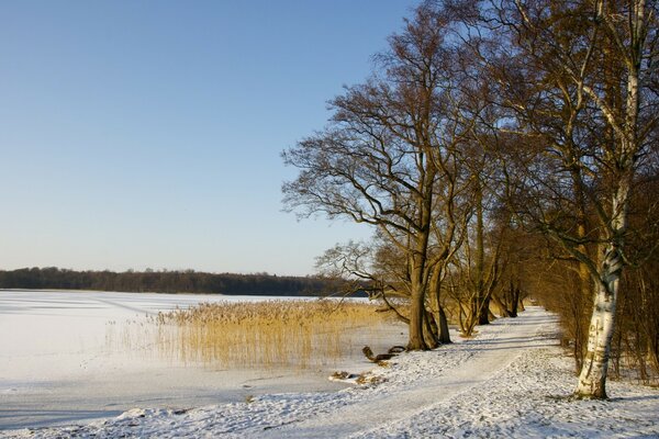 Lago de invierno, aire fresco