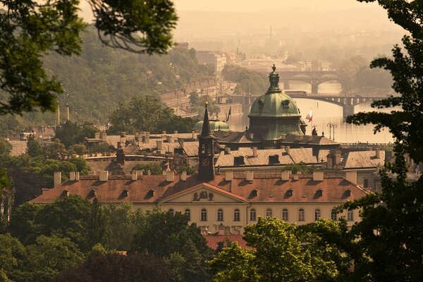 The architecture of the city can be seen from behind the trees