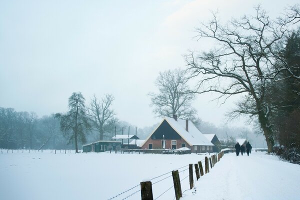 Winter snow-covered landscape with a house and trees