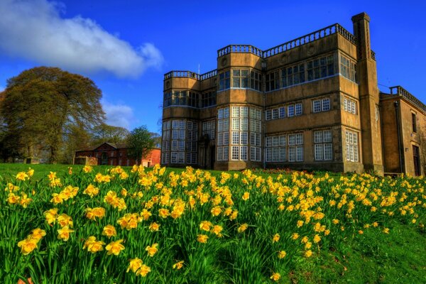 A big old house in a clearing