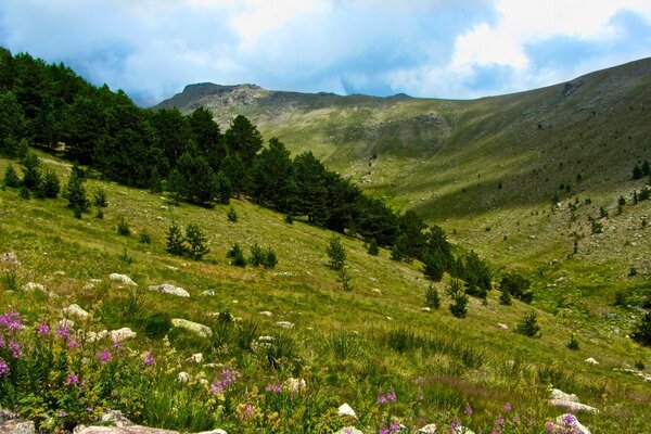 Пейзажный вид на горы и зелёные луга