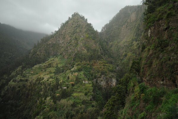 Mountains, forest and sky - the beauty of nature