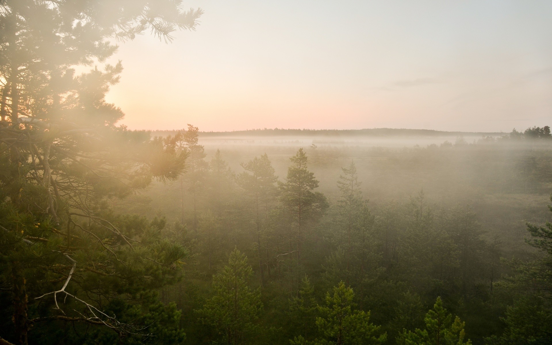 europe landscape fog water tree lake mist dawn nature light sky river weather reflection sunset