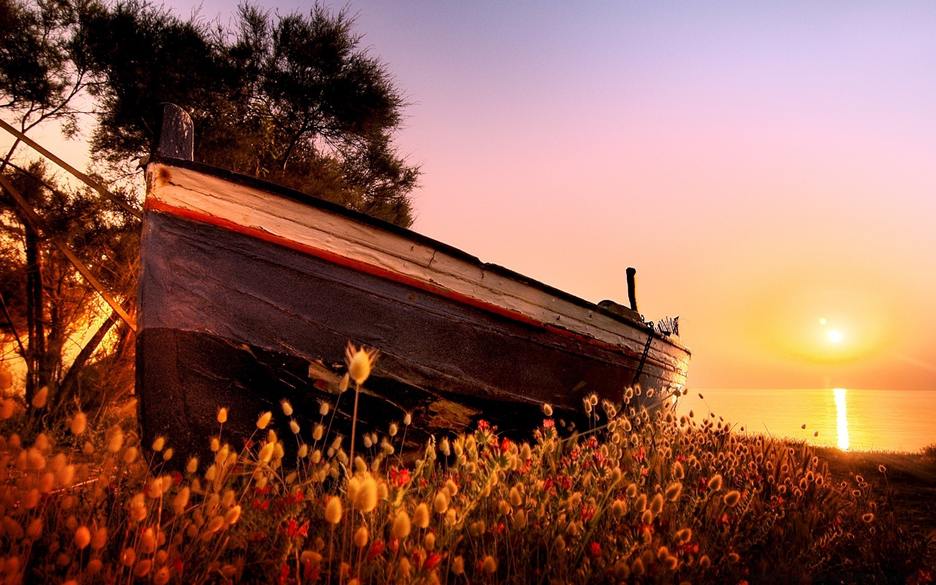 europa tramonto alba paesaggio sole autunno all aperto cielo inverno natura luce crepuscolo viaggi sera