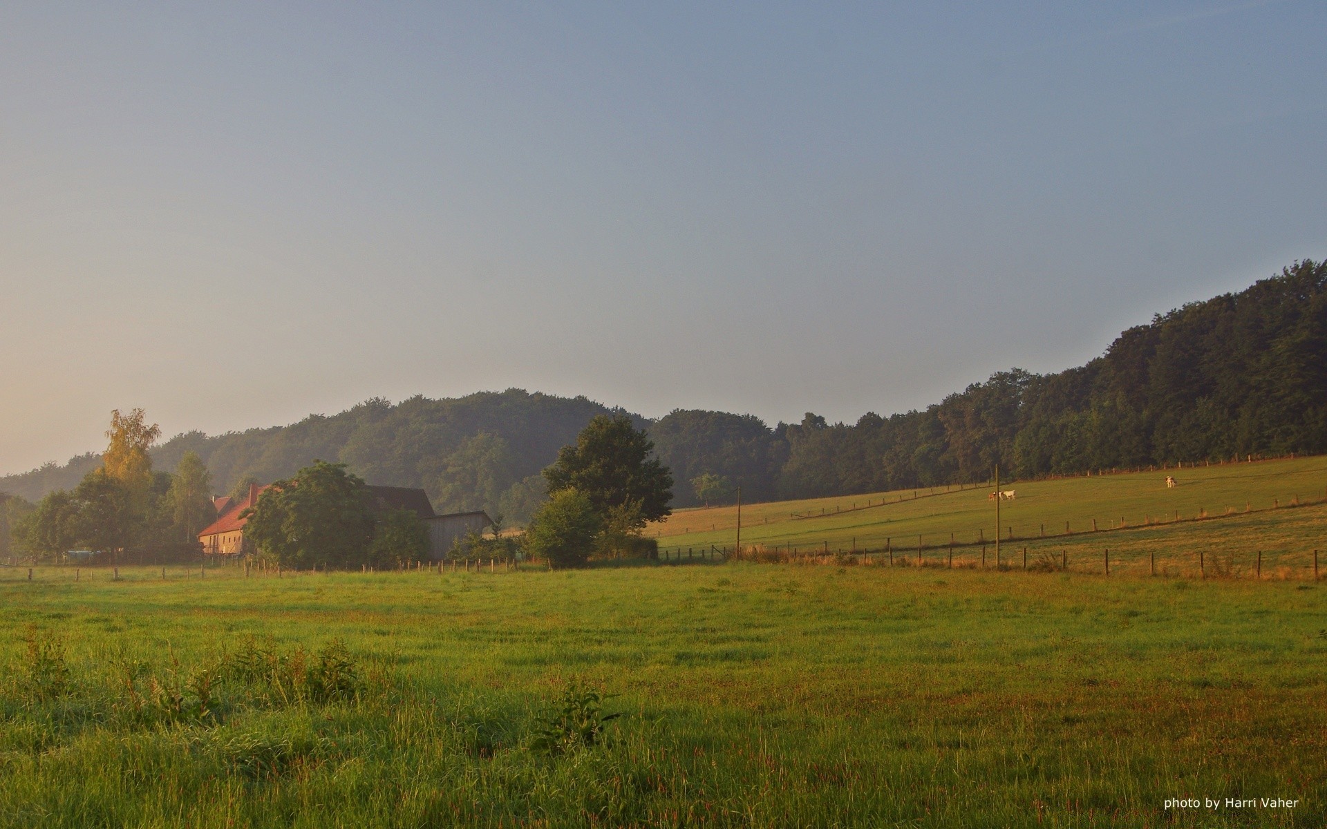 europe landscape dawn cropland fog tree outdoors nature agriculture countryside sunset grass sky travel fall mist pastoral