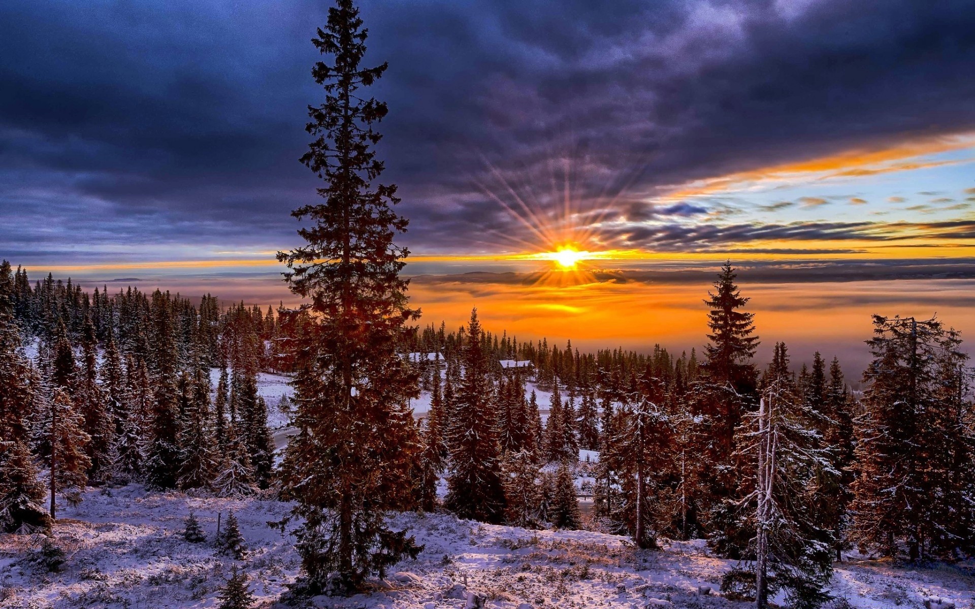 europa nieve madera amanecer naturaleza invierno paisaje árbol al aire libre escénico frío puesta de sol escarcha cielo buen tiempo temporada agua otoño lago sangre fría