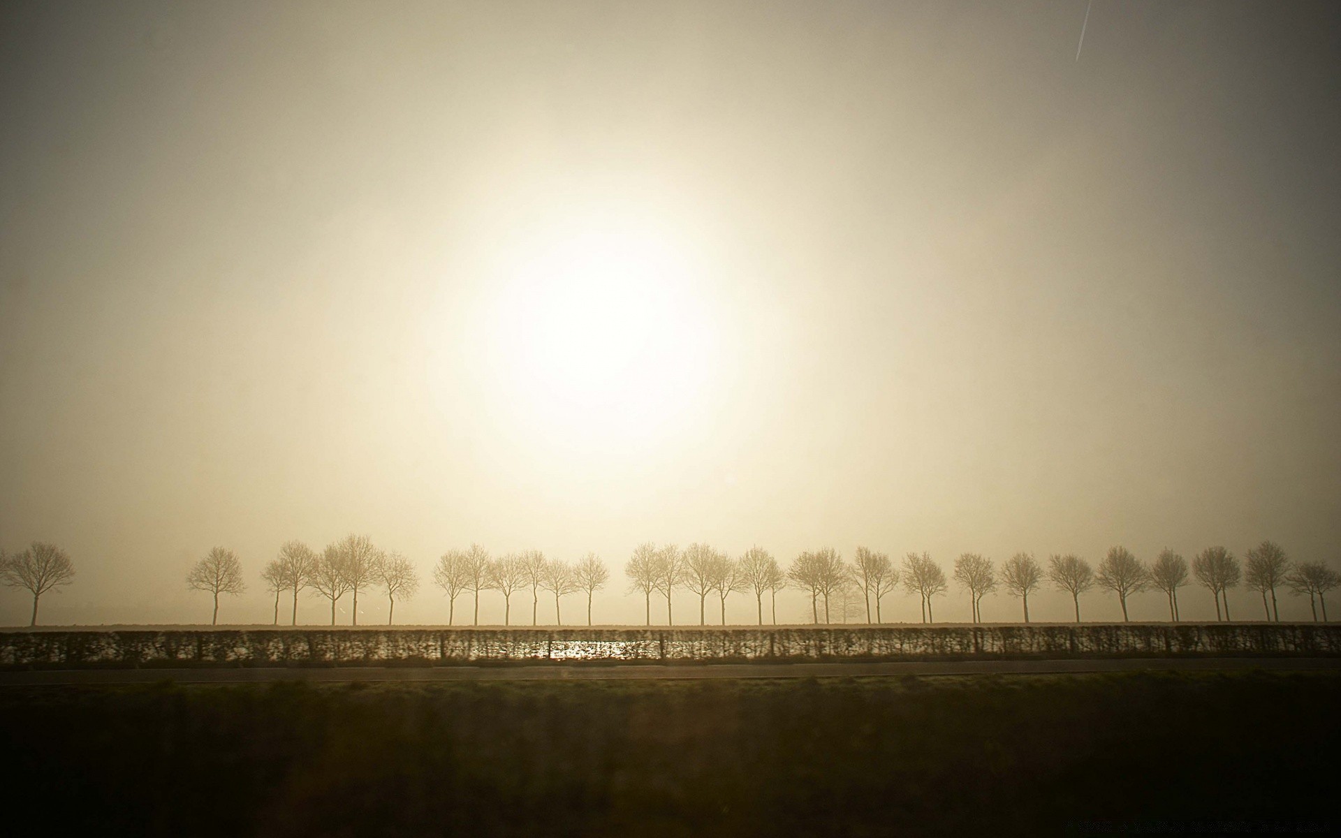 europe fog landscape dawn mist nature smoke sun sky sunset light weather smog winter tree