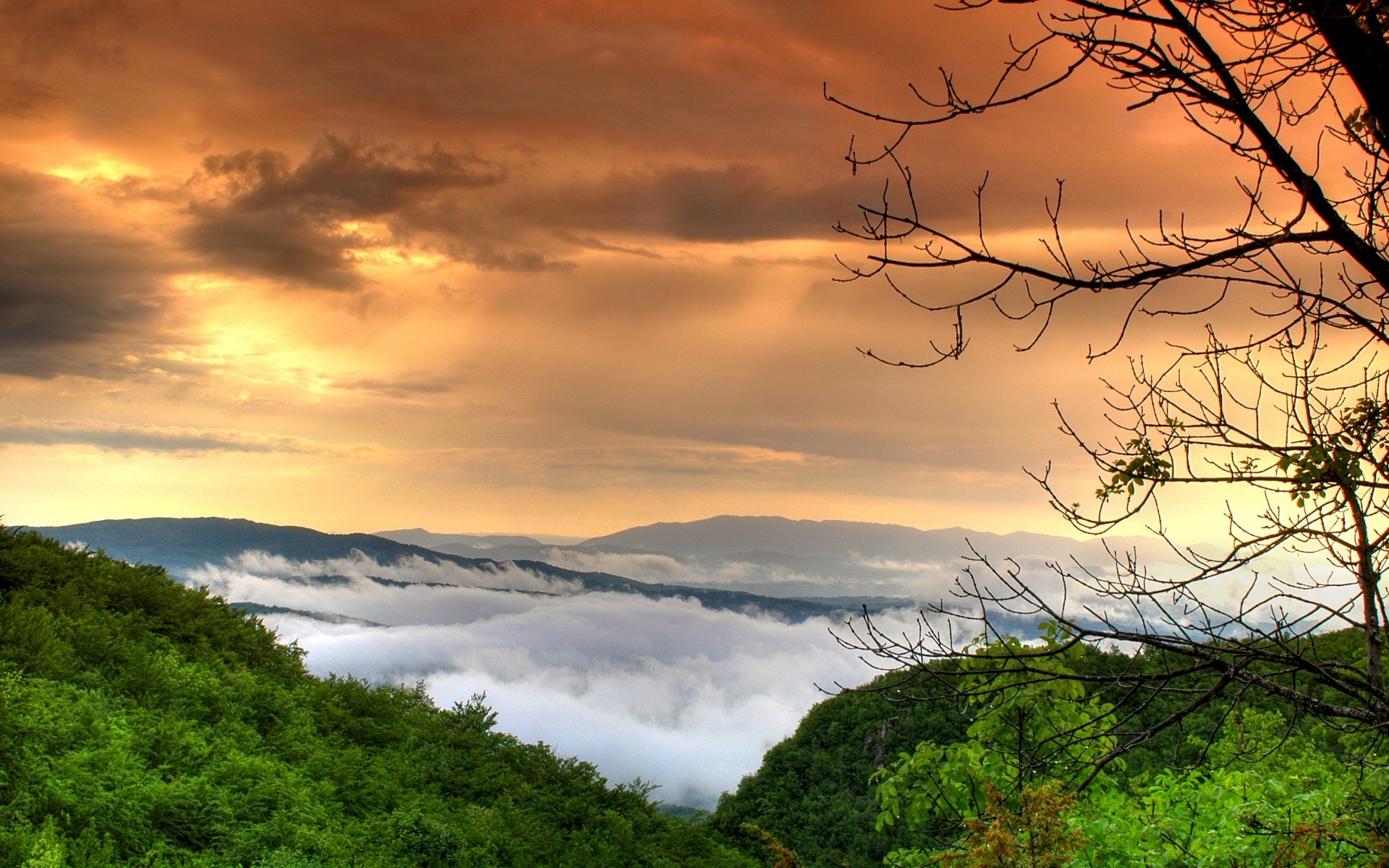 europa cielo amanecer puesta de sol naturaleza paisaje árbol agua viajes niebla al aire libre sol noche madera