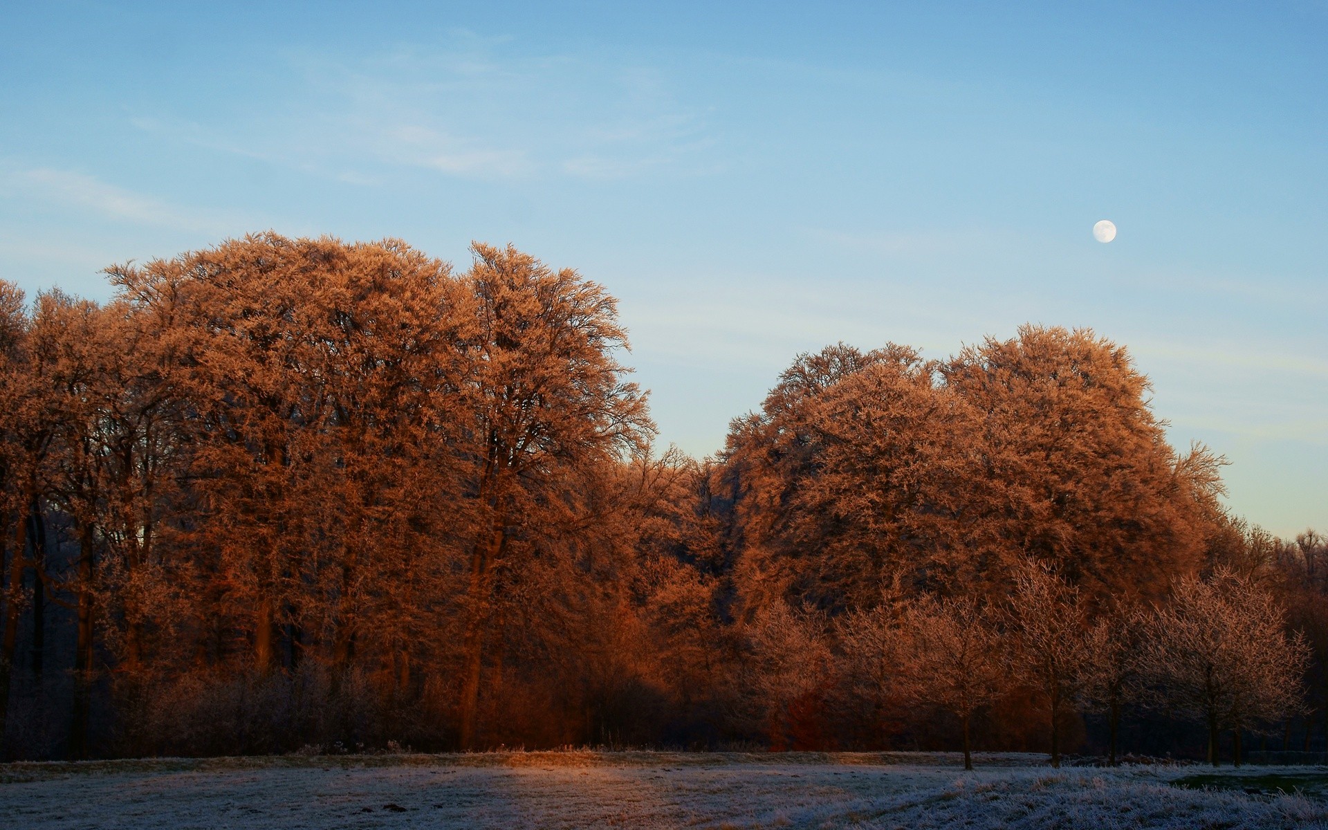 europe fall landscape tree dawn winter nature sunset wood lake sky snow fog water outdoors park sun season cold light