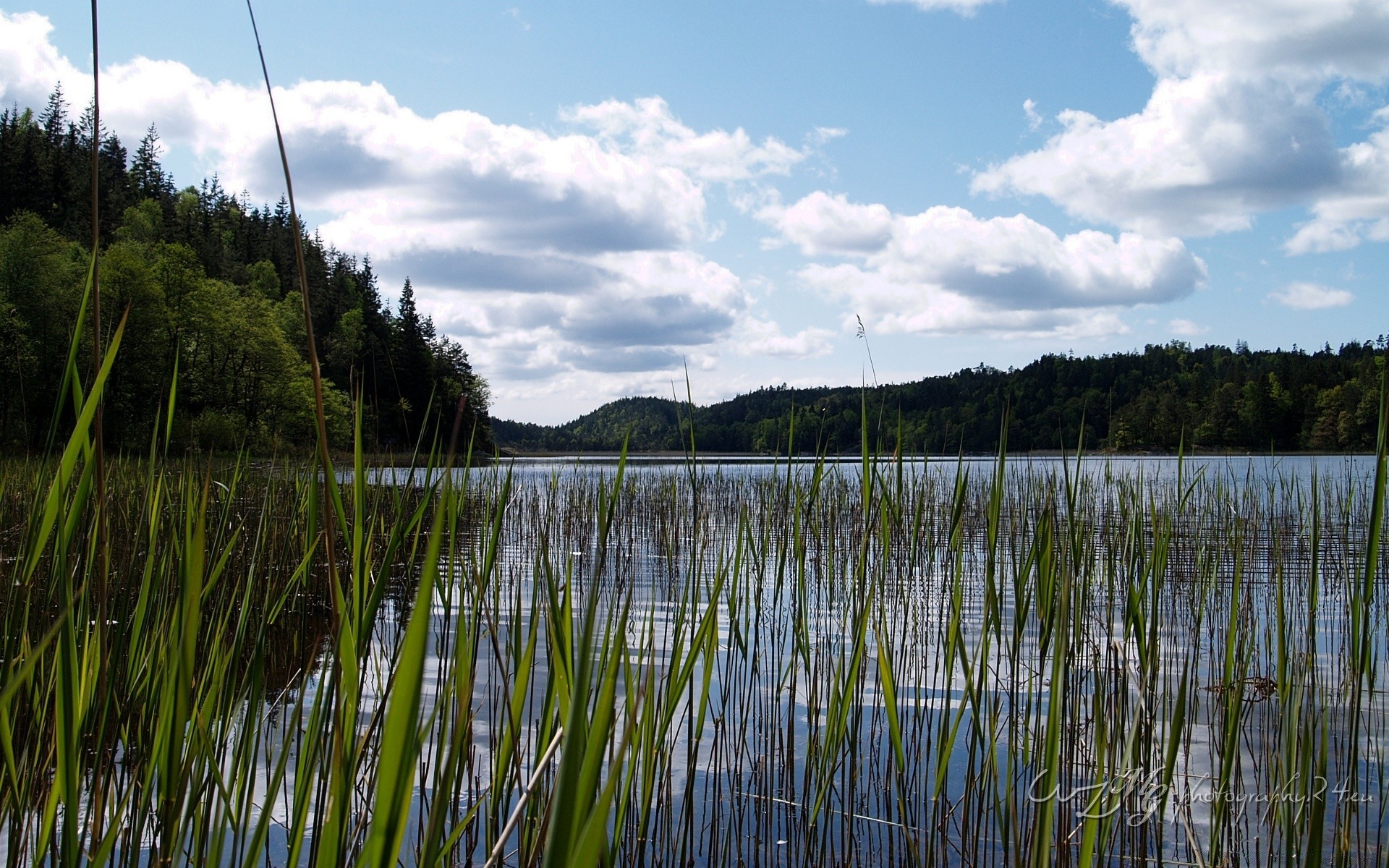 europa reflexion see wasser landschaft natur fluss himmel im freien reed holz sommer gras holz spiegel