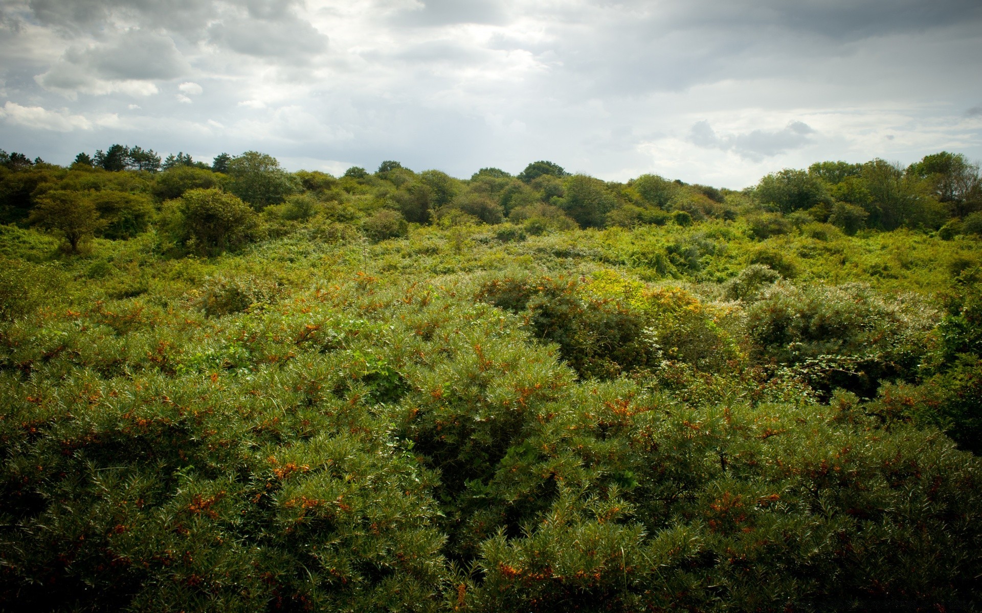 europa paisaje árbol naturaleza colina escénico al aire libre montañas viajes luz del día medio ambiente tierras cultivadas