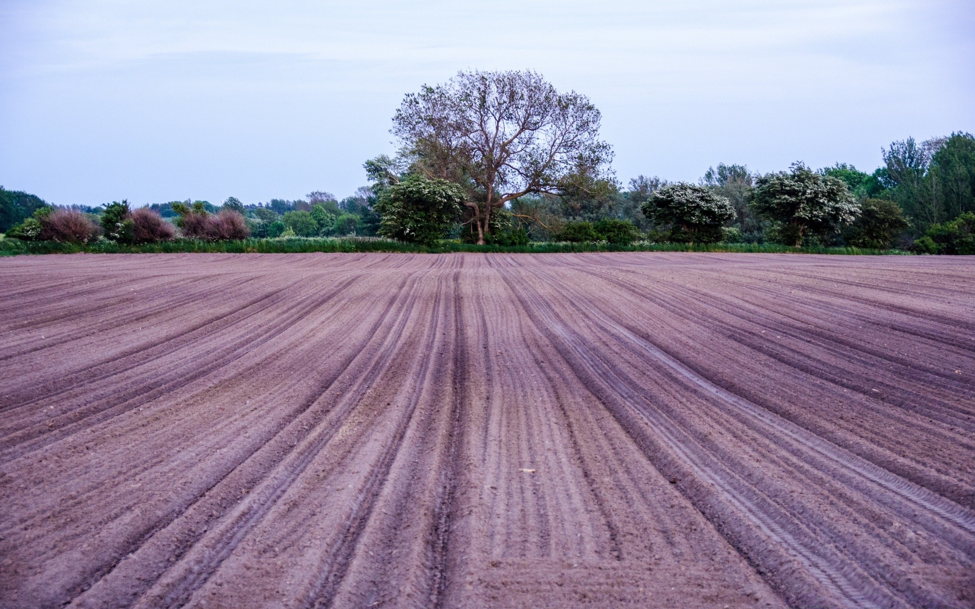 europe nature bois agriculture rural à l extérieur paysage arbre été champ ferme pâturage campagne sol terres agricoles ciel de bureau