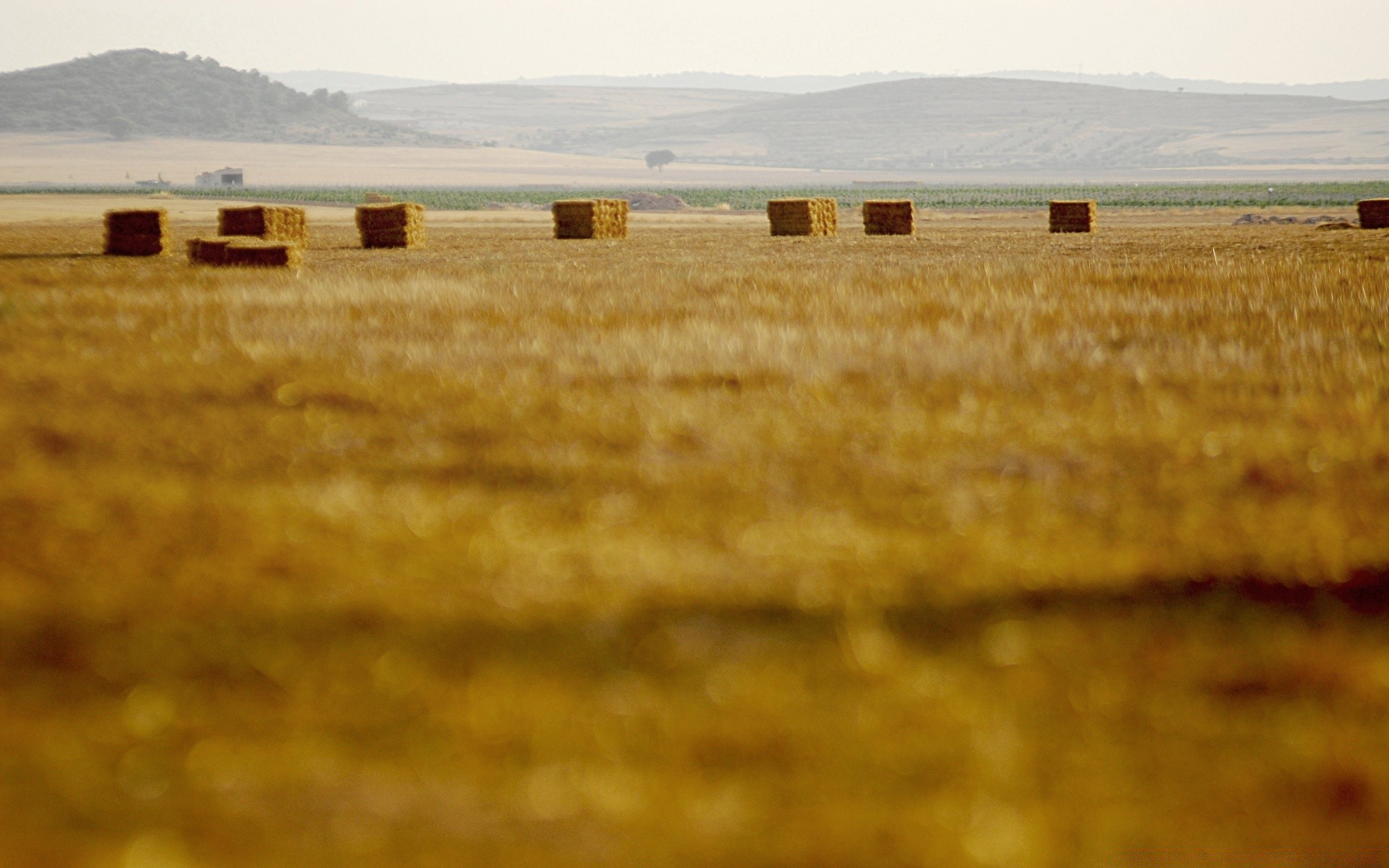 europe farm landscape field agriculture crop cropland wheat country countryside fall rural cereal hayfield gold bale sky prairie nature color