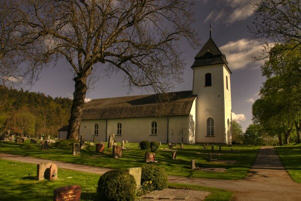 Baum in der Nähe der Kirche im Freien