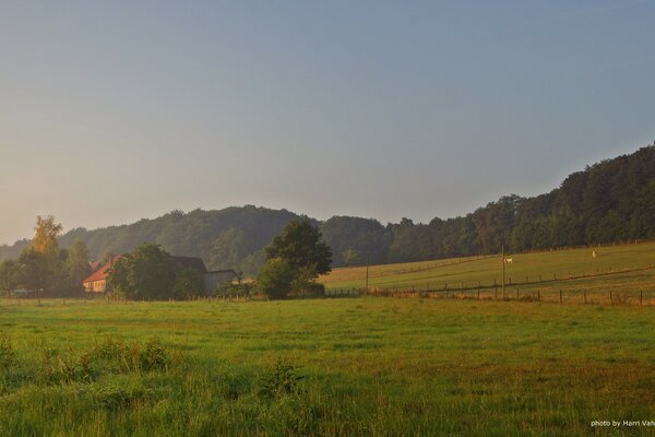 A rustic house in the greenery of trees at dawn