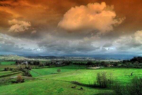 Die Kontraste der Natur sind grünes Gras und dunkler Himmel