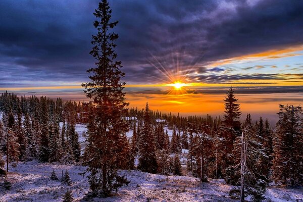 Alba sulla natura innevata in Europa