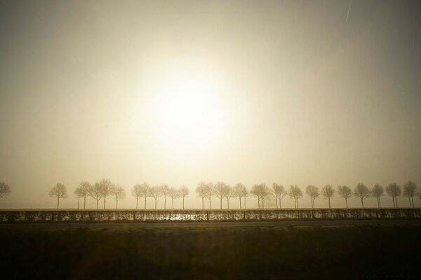 Neblige Landschaft im Morgengrauen