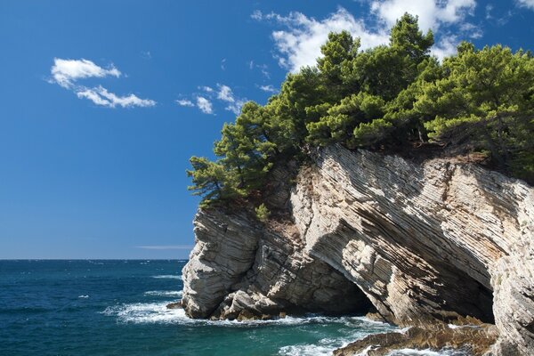 A rock with trees above the water against the sky