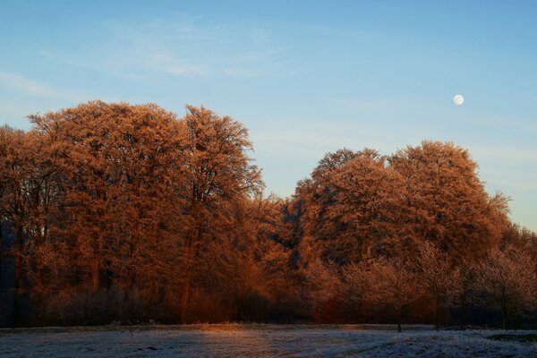 Beautiful autumn landscape at dawn