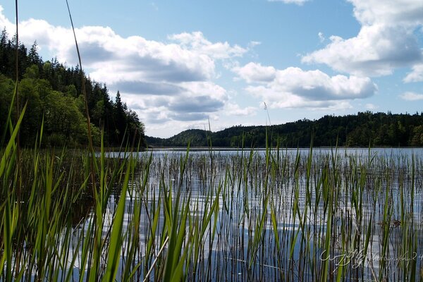 Landscape of a beautiful European lake