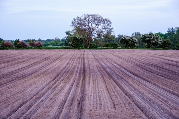 La belleza de la agricultura Europea