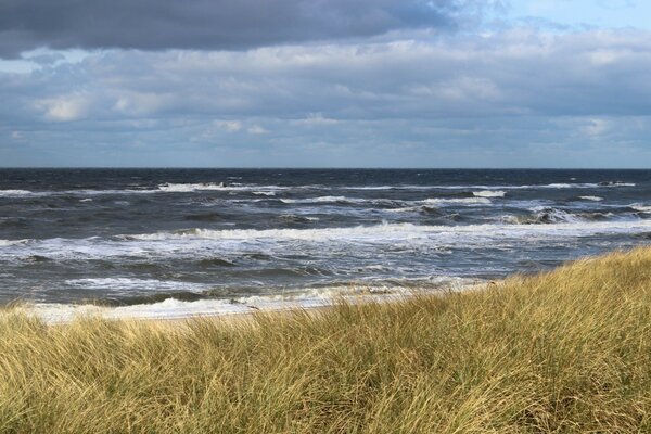 Ocean shore in a storm