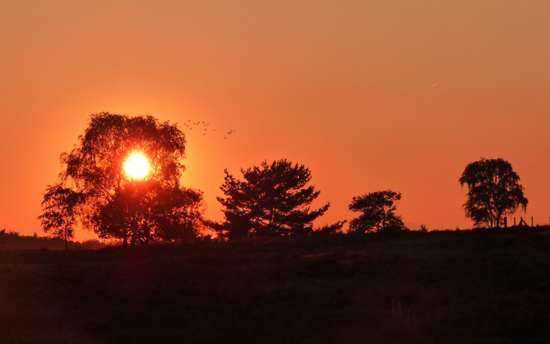 europa sonnenuntergang silhouette dämmerung abend hintergrundbeleuchtung landschaft dämmerung sonne baum himmel im freien nebel licht natur