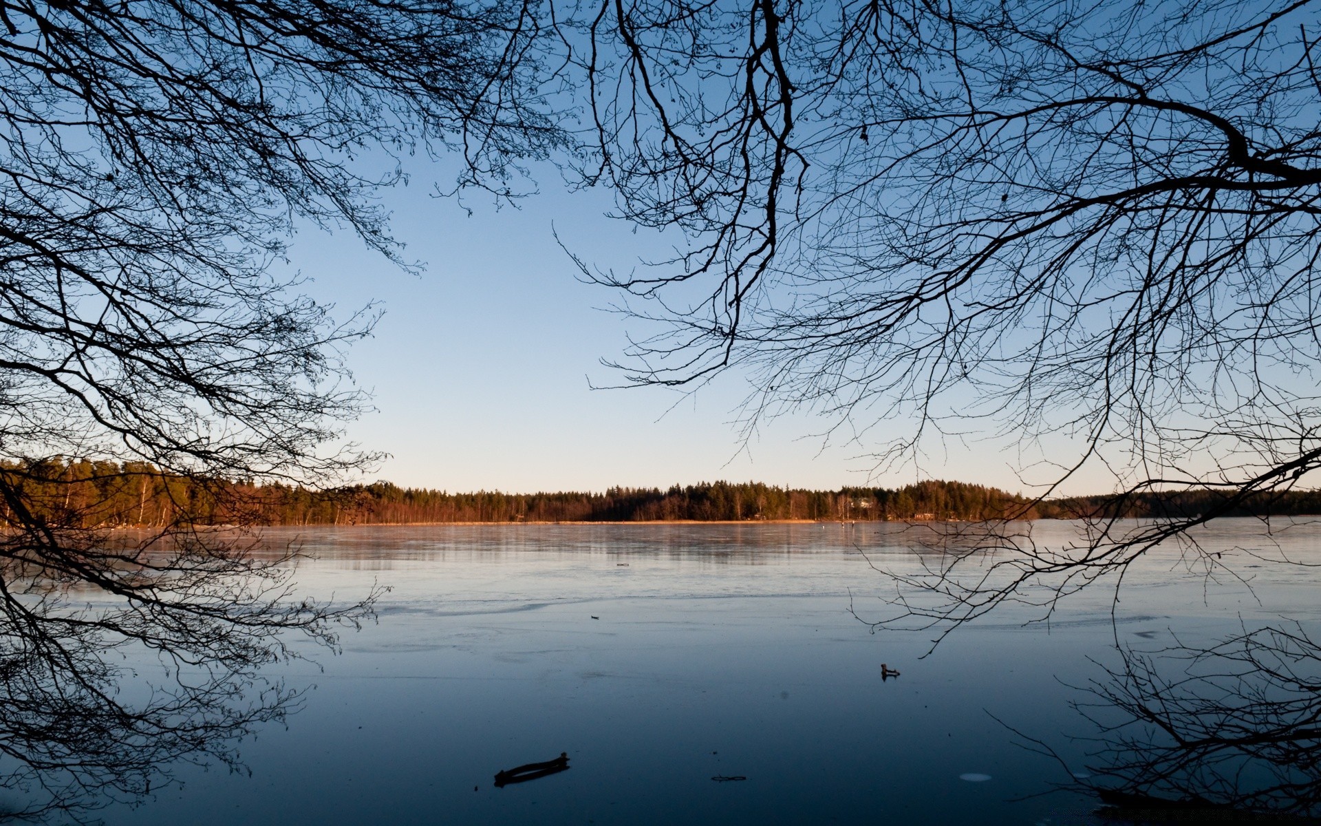 europa winter landschaft baum kälte schnee holz natur jahreszeit wetter reflexion dämmerung herbst see gefroren landschaftlich zweig wasser eis licht