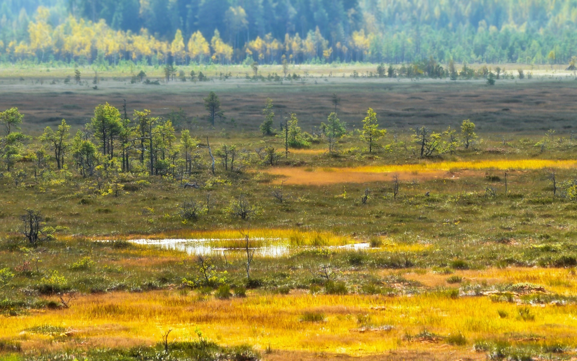 europa paesaggio natura campo albero fieno cielo scenico erba agricoltura all aperto paesaggio legno fattoria spettacolo rurale scena viaggi stagione collina