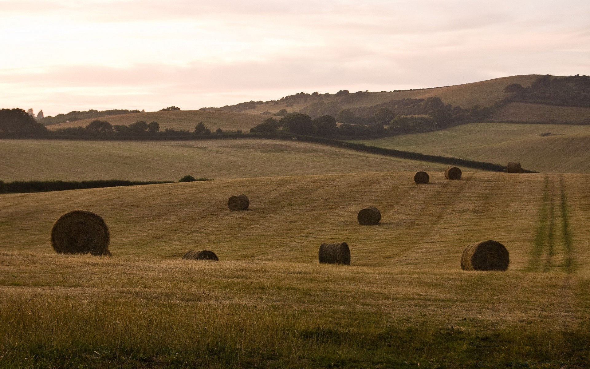 europe landscape hay cropland agriculture farm bale grassland countryside hill sunset field pasture straw wheat sky outdoors