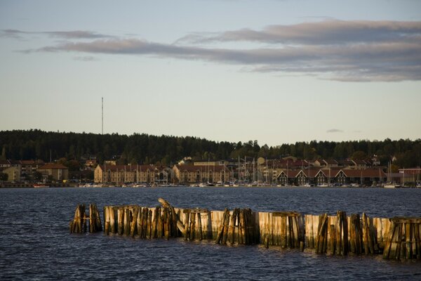 Evening light over the harbor