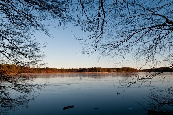 Paysage d hiver avec vue sur l eau