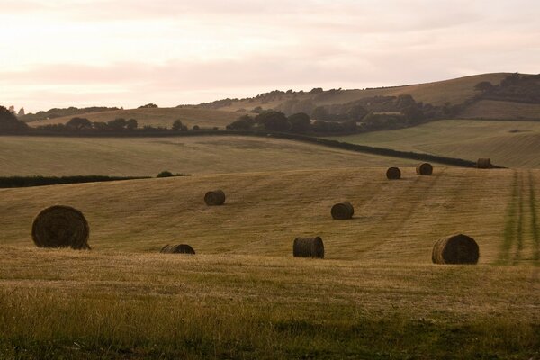 Paisagem europeia com pilhas de feno colhido