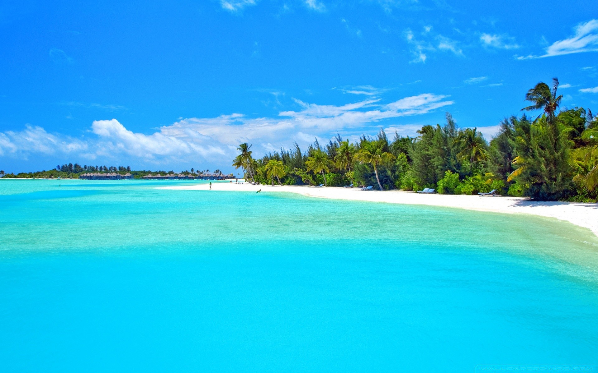 isole acqua sabbia tropicale viaggi idillio estate spiaggia isola turchese cielo mare natura paesaggio caldo