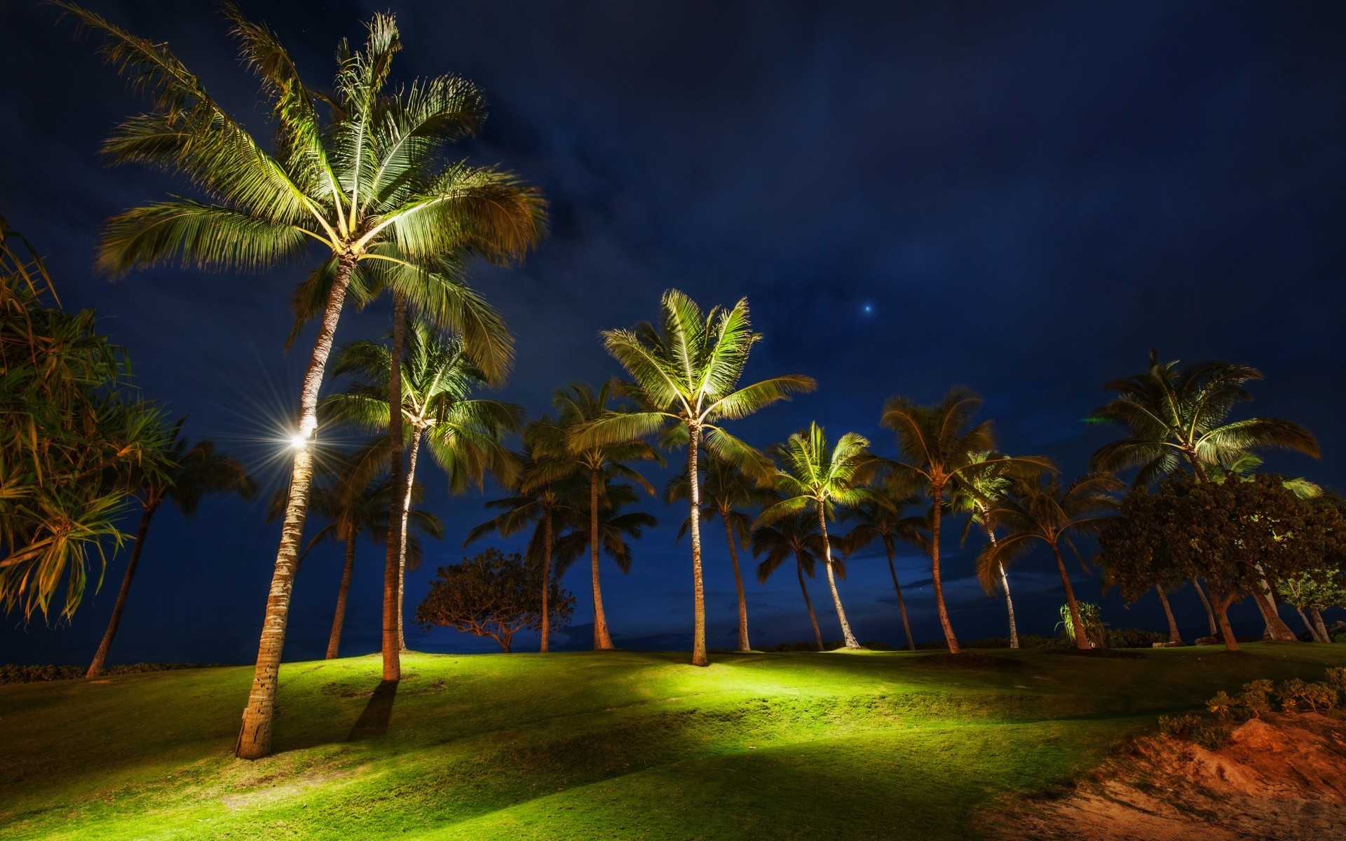 ilhas árvore praia palma tropical viagem sol mar idílio ilha coco oceano água areia natureza céu férias