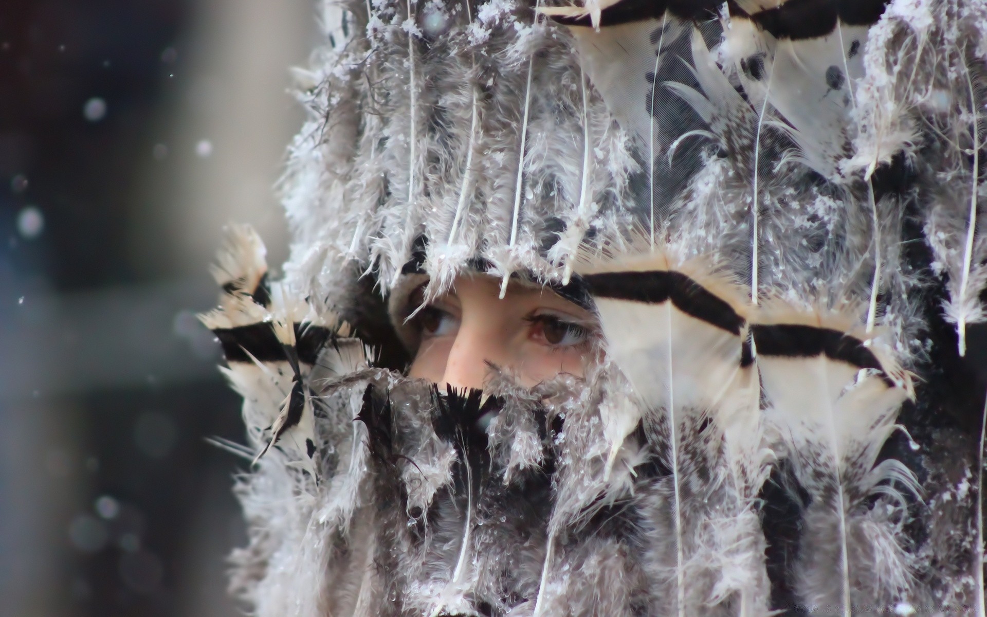 europe winter frost cold snow christmas nature outdoors traditional