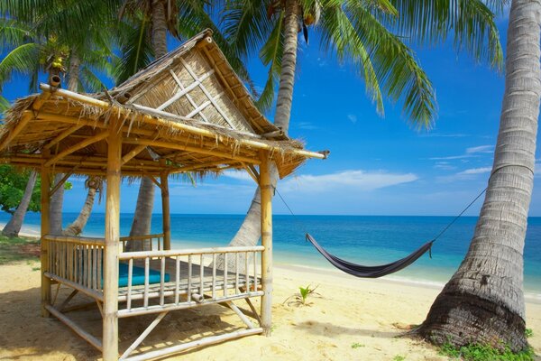 Tropical island with palm trees and hammock