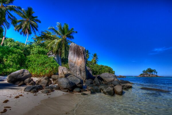 Tropische Insel mit Strand und Meer