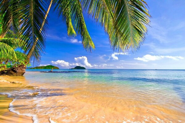 Playa tropical, mar y arena