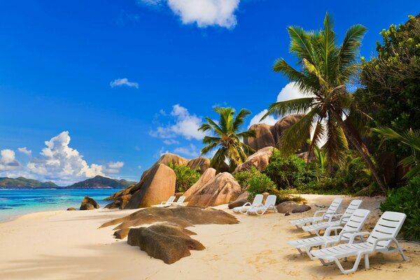 Sedie a sdraio su una spiaggia di sabbia tropicale