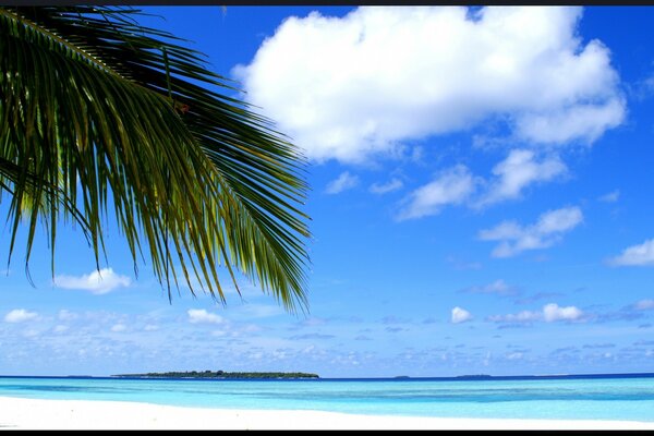 Une île fabuleuse dans un paradis tropical