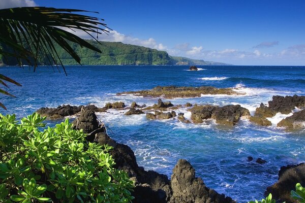 Rocas e isla en agua azul