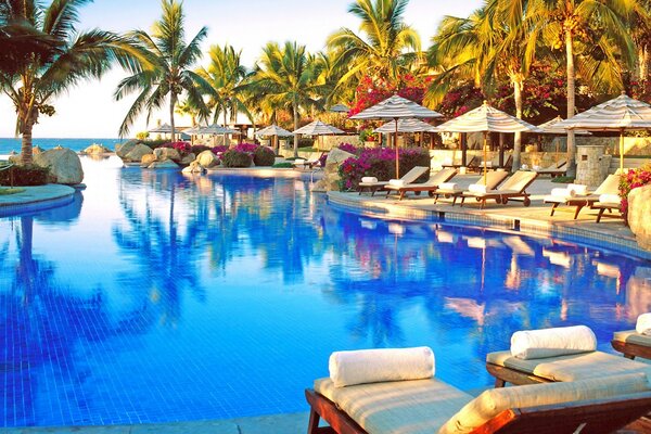 Swimming pool with sun beds, palm trees and awnings