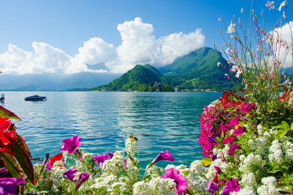 फूलों की पृष्ठभूमि पर नीले पानी के साथ एक द्वीप