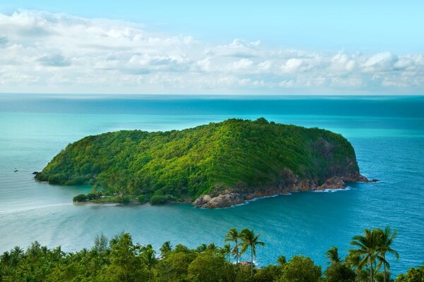 An island overgrown with greenery, in the middle of the sea