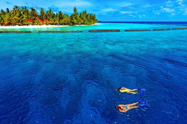 Two divers swimming near the island