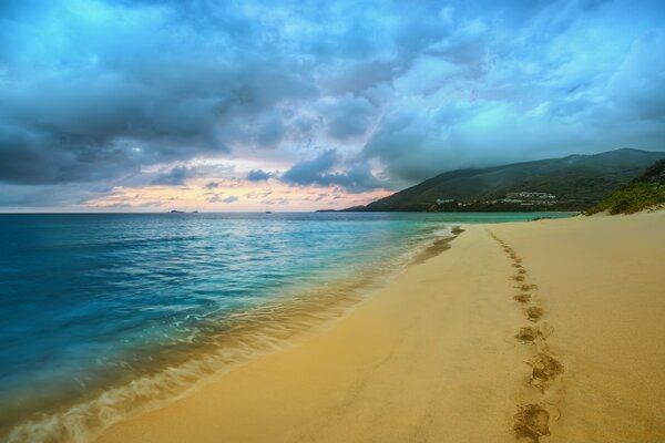 Île sur le paysage de sable de plage